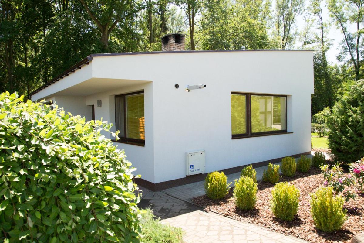 Camping Oaza Blonie Kornik Domki Standard Plus - 3 Pokoje Exterior photo